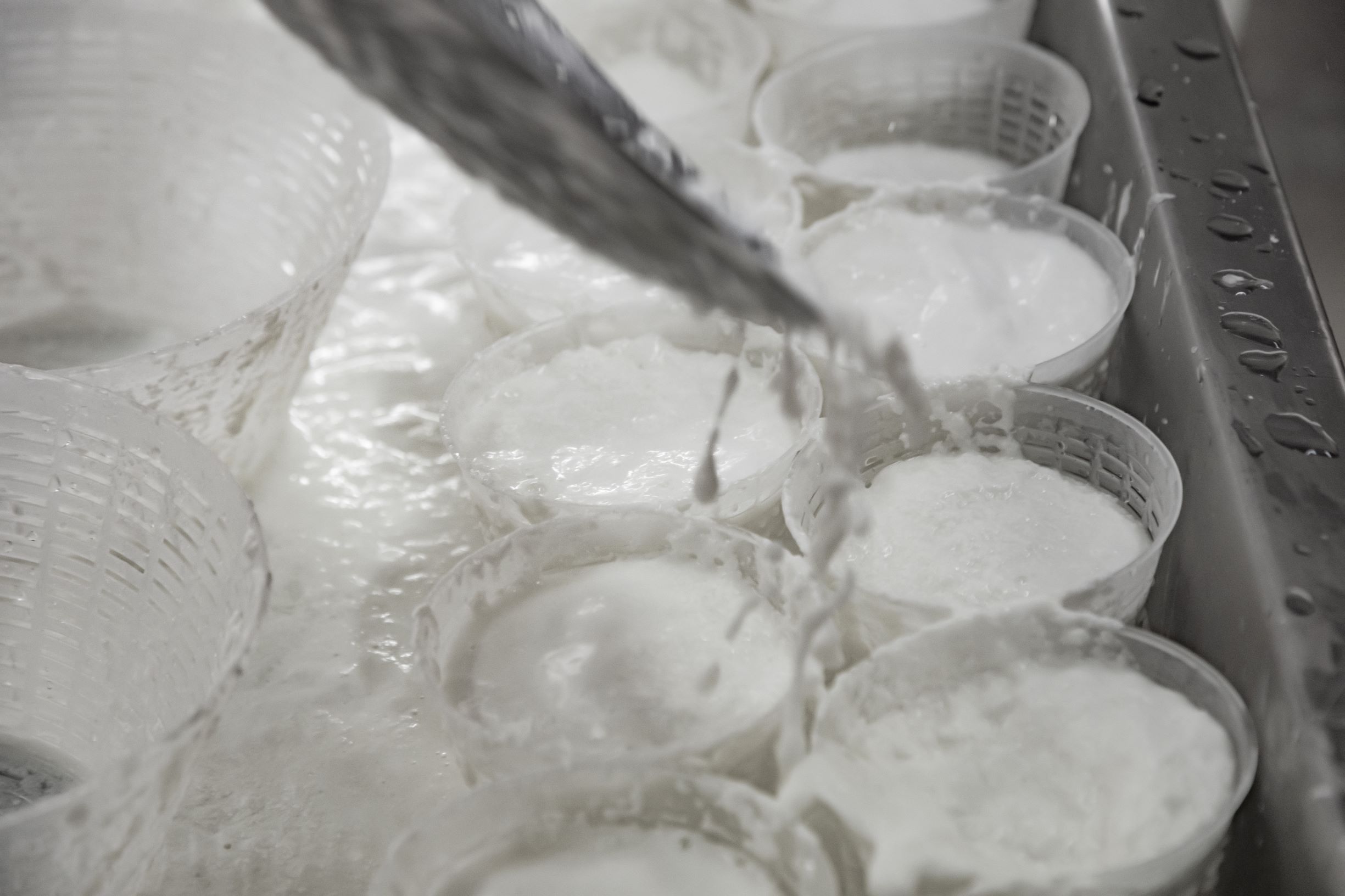 Ricotta con latte di pecora 2000 g