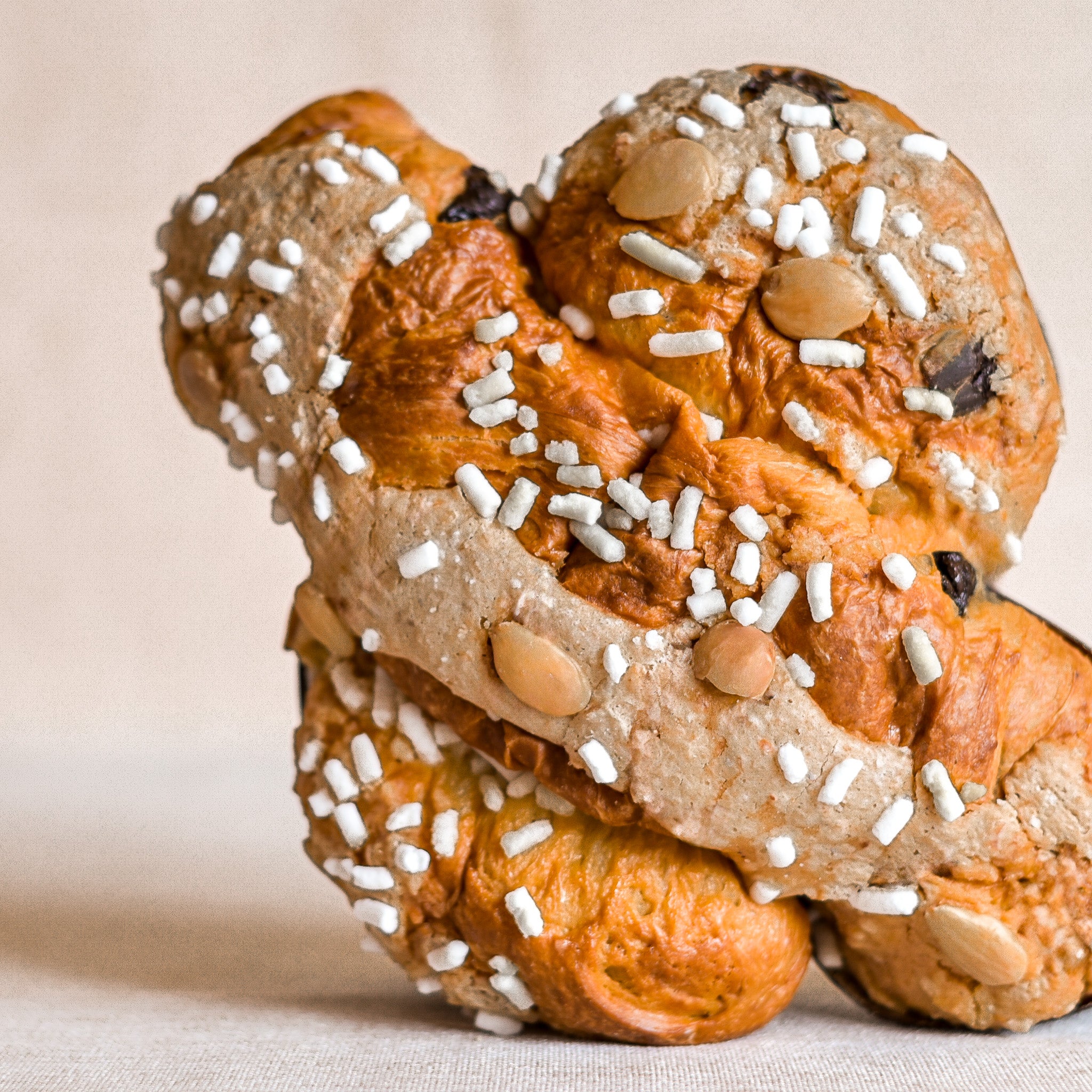 Colomba Cioccolato e Pere FASCIATA